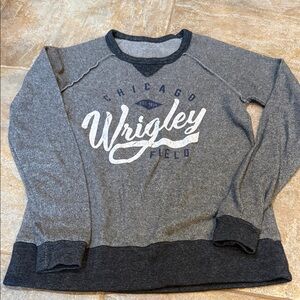 Gray Wrigley Field Sweatshirt